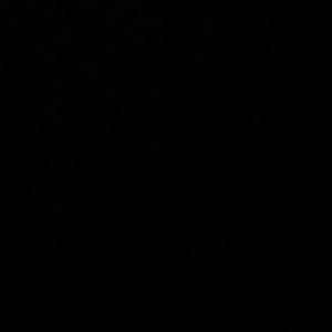 Meet your Posher, Adrian